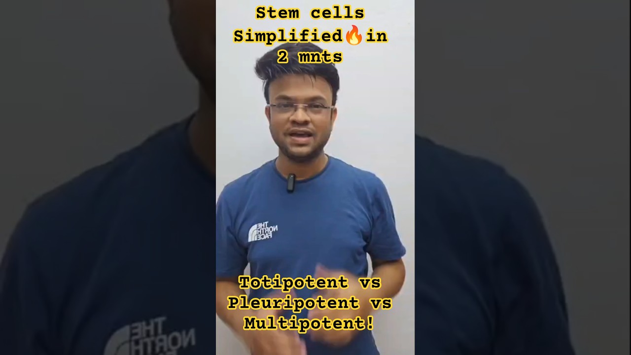 Stem Cells Explained in 2 Minutes | Totipotent vs Pluripotent vs Multipotent | GATE & CSIR NET 🔥