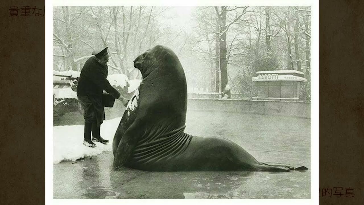 絶対に見るべき衝撃的な昔の写真110枚