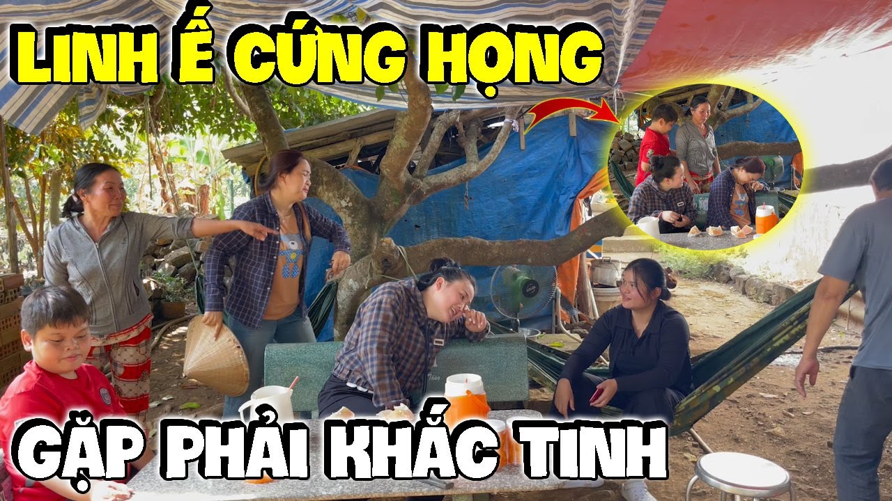 Linh Ế Mõ Hỗn Cũng Phải Cứng Họng Chịu Con Báo Mới Ăn Quỵt Tiền | Hải Ka Vlogs
