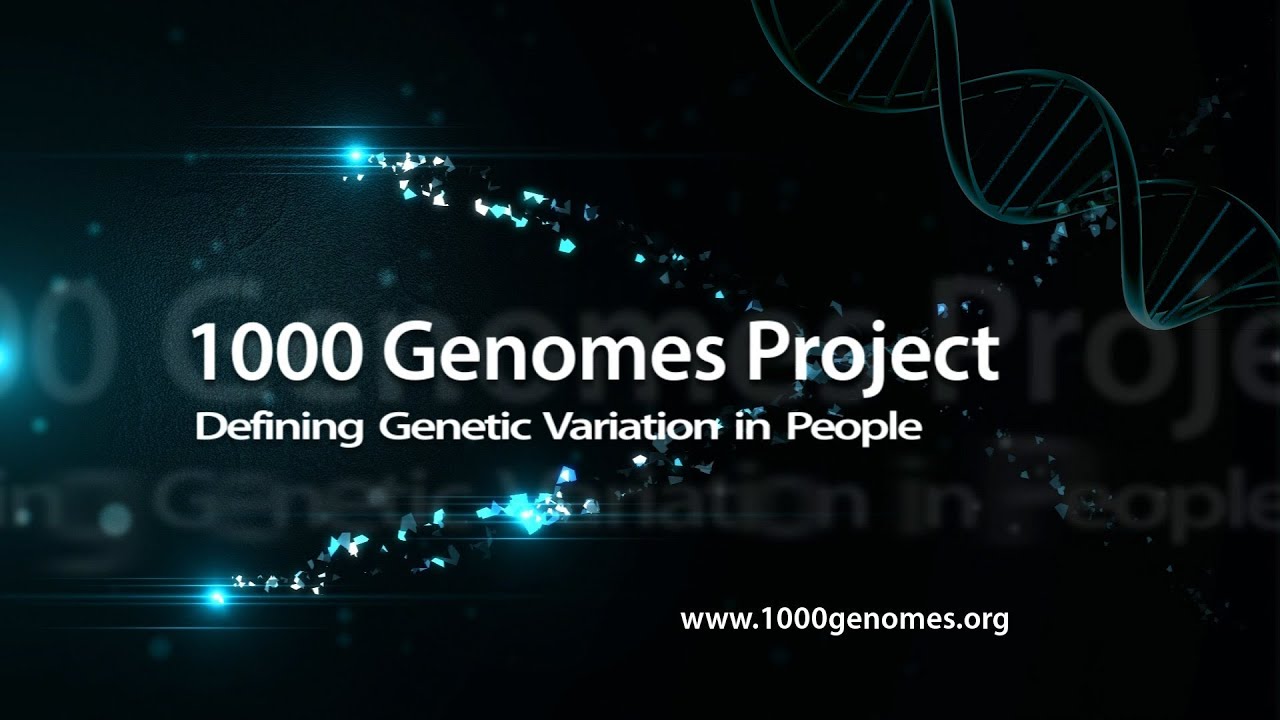 1000 Genomes Project: Defining Genetic Variation in People