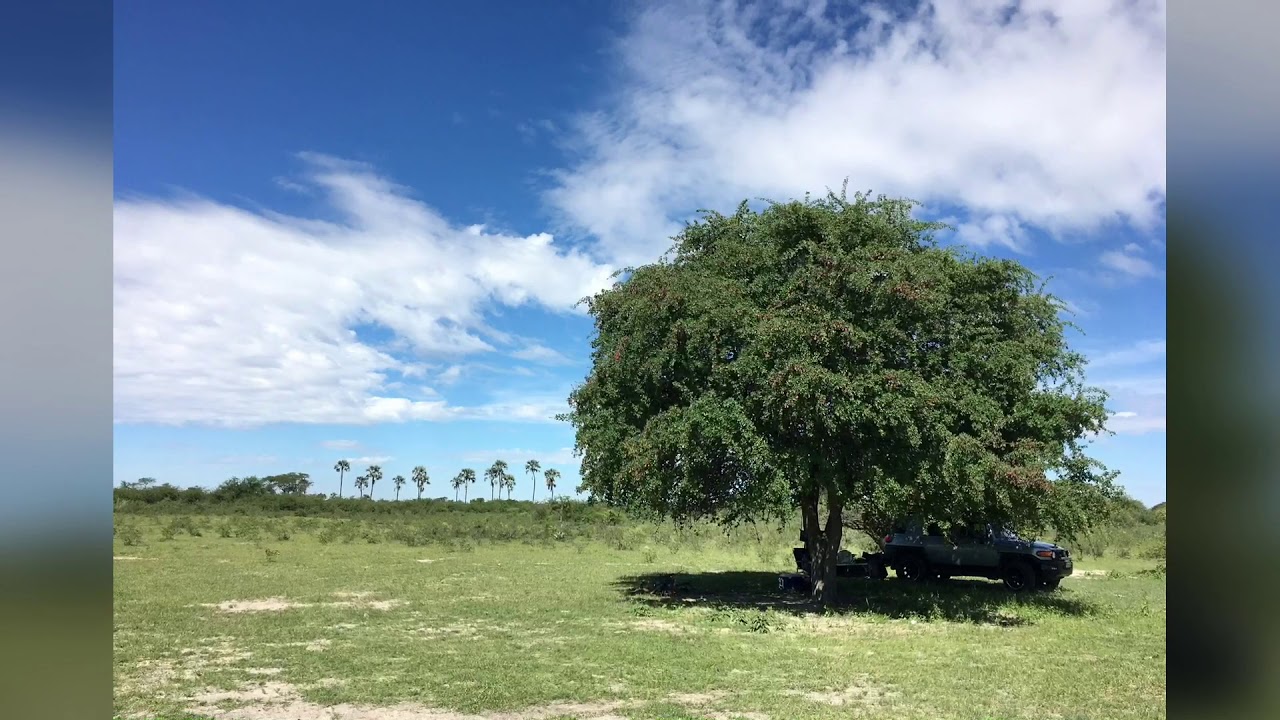 Bush Bound - Out and About