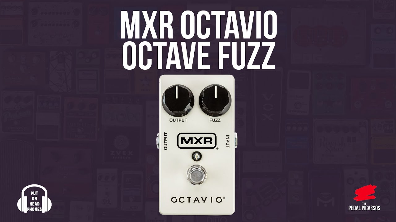 MXR Octavio Octave fuzz #fuzz #octave