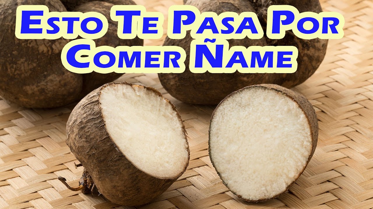 Para Que Sirve El &Ntilde;ame - Beneficios Del &Ntilde;ame Y Sus Propiedades