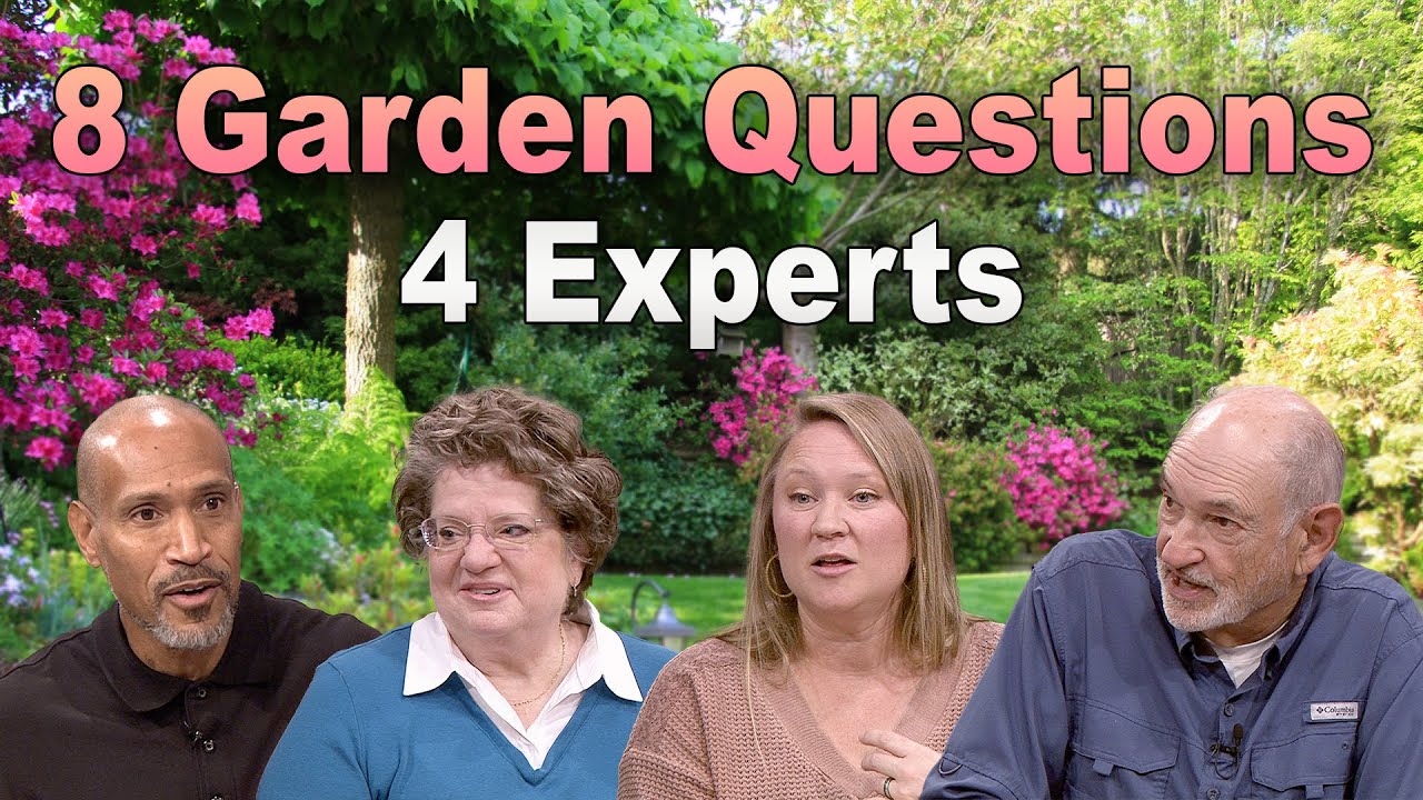 Invasive Weeds, Shrubs, and Soil: Gardeners Ask, Experts Respond!