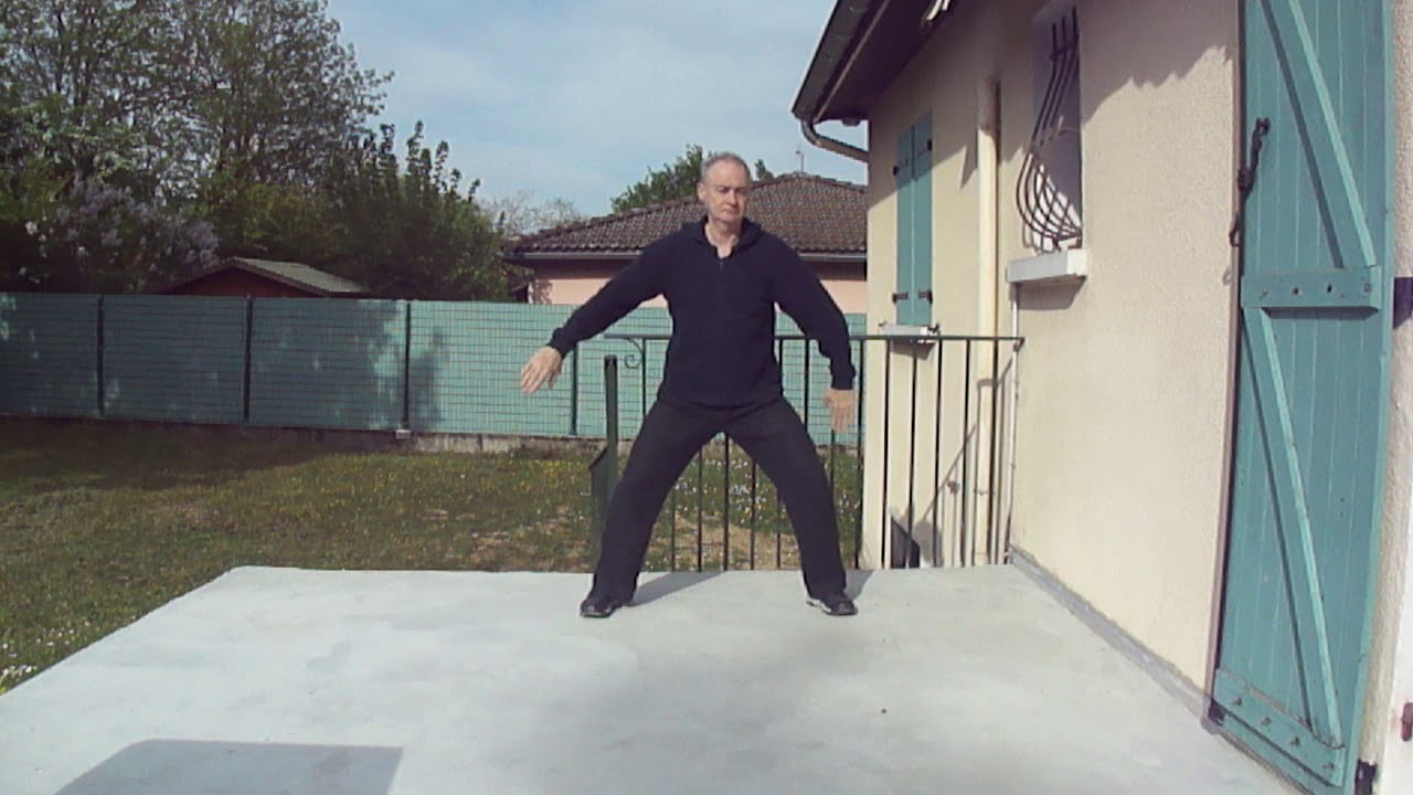 Video_020 : Wu Dang mouvements