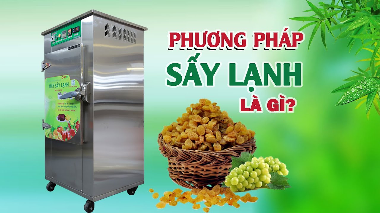 Máy sấy lạnh là gì? Hiểu rõ hơn về phương pháp sấy lạnh thực phẩm hiện đại