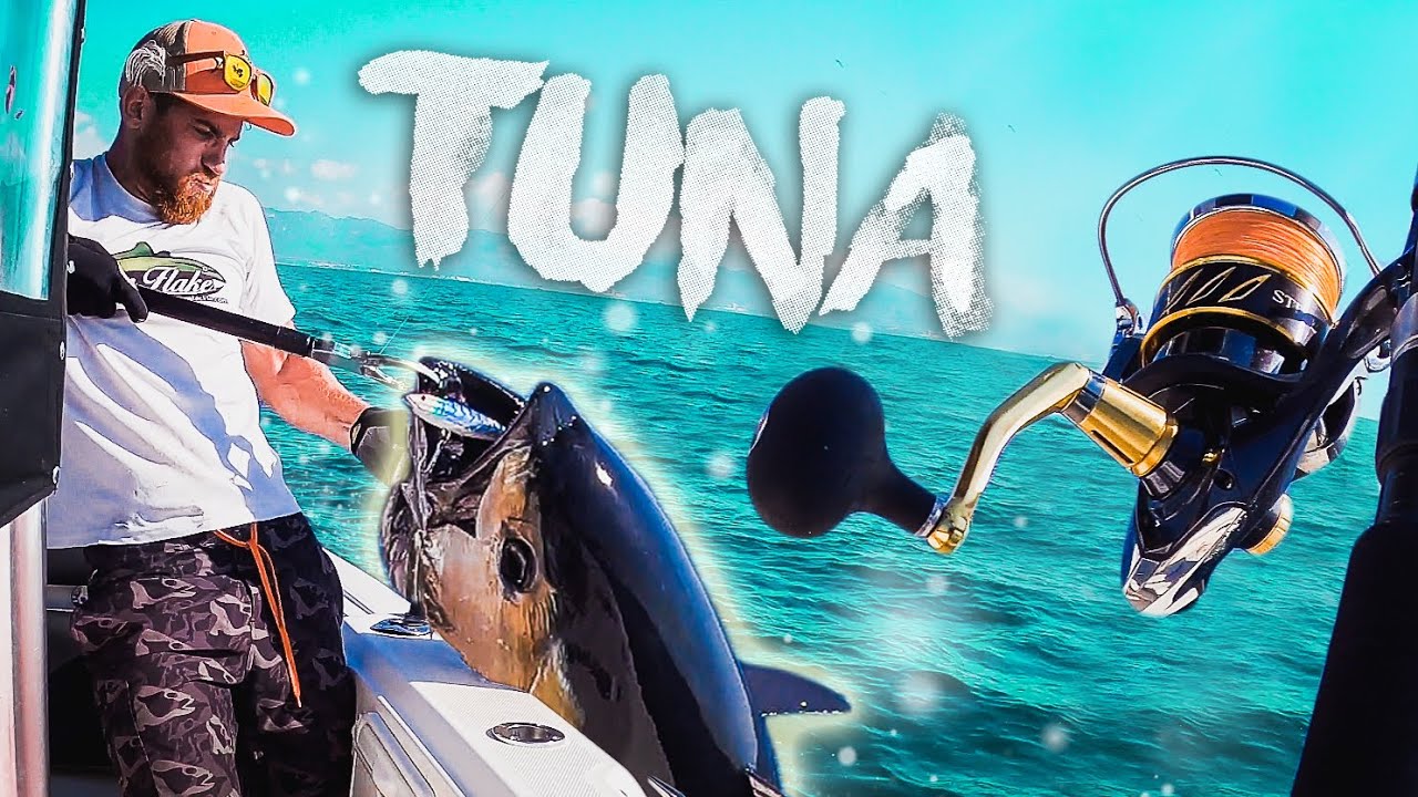🔴 PEZ 𝐃𝐄𝐌𝐀𝐒𝐈𝐀𝐃𝐎 𝐆𝐑𝐀𝐍𝐃𝐄 para SUBIRLO [ATÚN a POPPING] Pesca Delta del EBRO | Lured Vlog 149