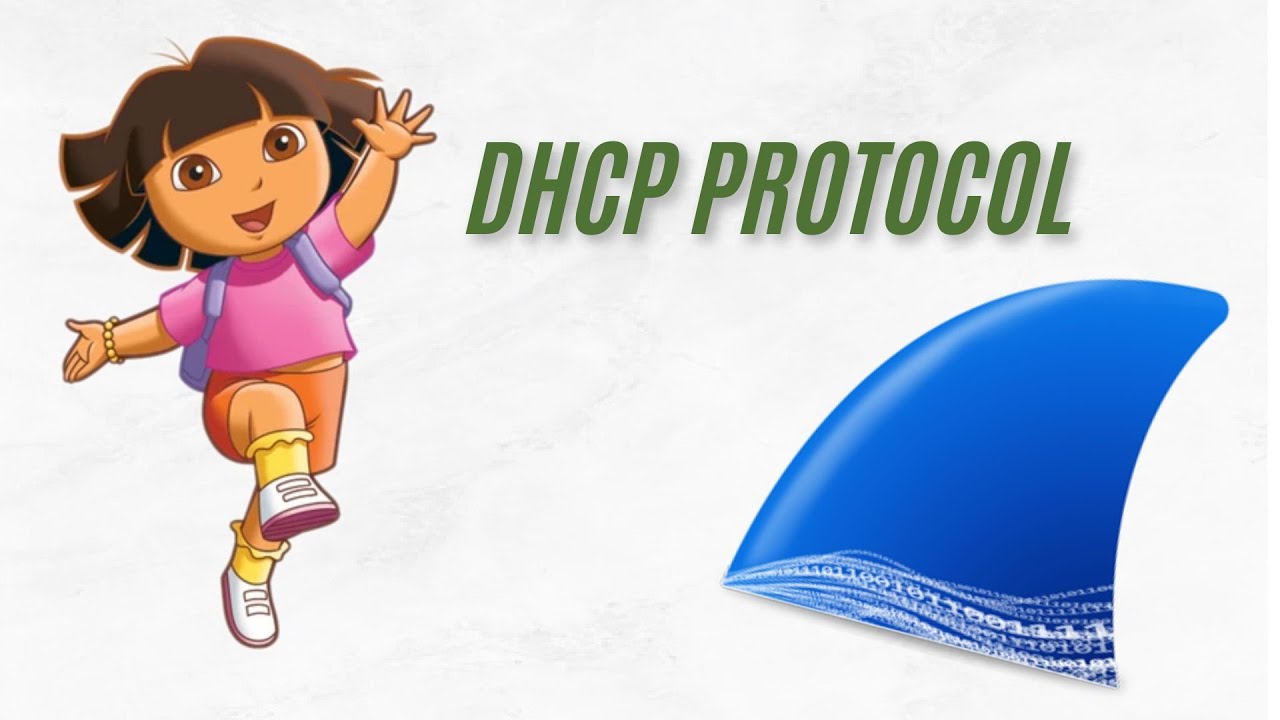 Como funciona el protocolo DHCP wireshark [2026]