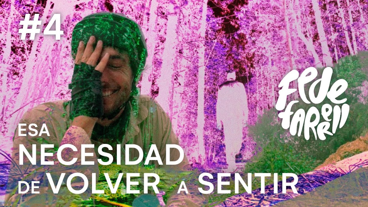 Hongos en San José del Pacifico🤪🍄 - 15.000 Km de niebla, gastronomía, arte y hongos