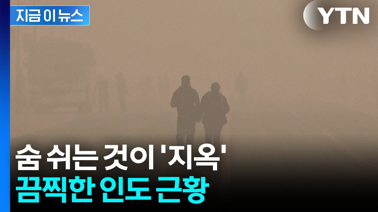 '집에서 나오지 마'...인도, 한치 앞도 안 보이는 대기오염 수준 [지금이뉴스] / YTN