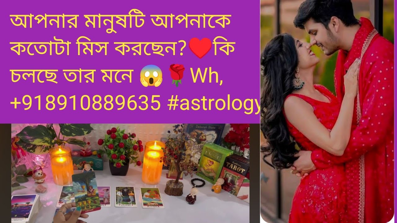 আপনার মানুষটি আপনাকে কতোটা মিস করছেন?♥️কি চলছে তার মনে 😱🌹Wh,+918910889635 #astrology #tarotreading