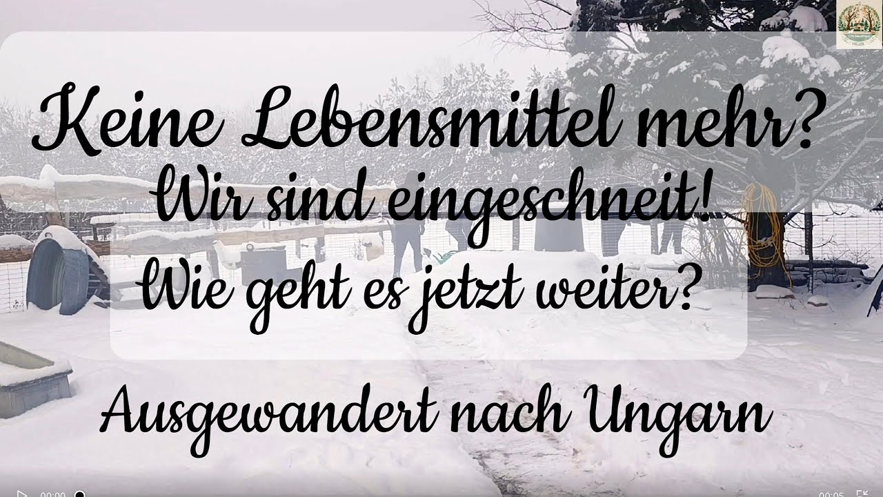 Wir kommen NICHT mehr raus!😮#SCHNEECHAOS? 🌬️Oder normaler #WINTER?❄️🌨️#Märchenwald in #Ungarn 🌨️❄️☃️
