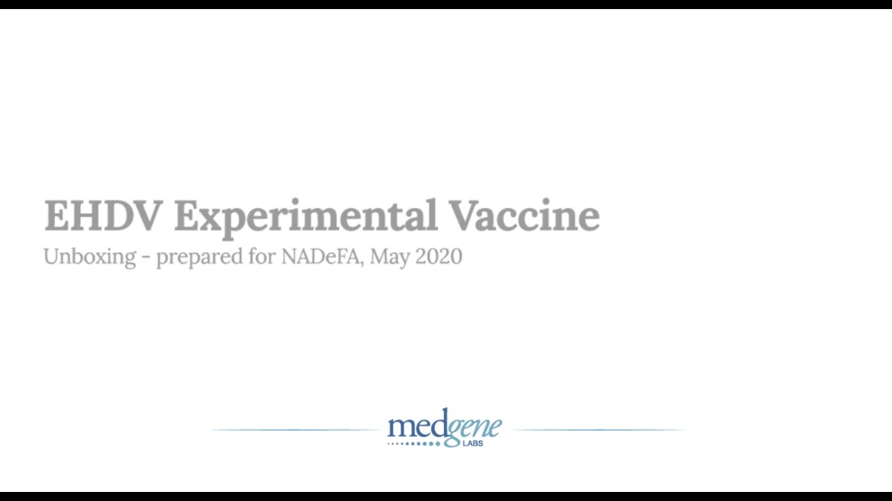 Medgene Labs - Unboxing the Experimental/Trial EHDV Vaccine - A Tutorial