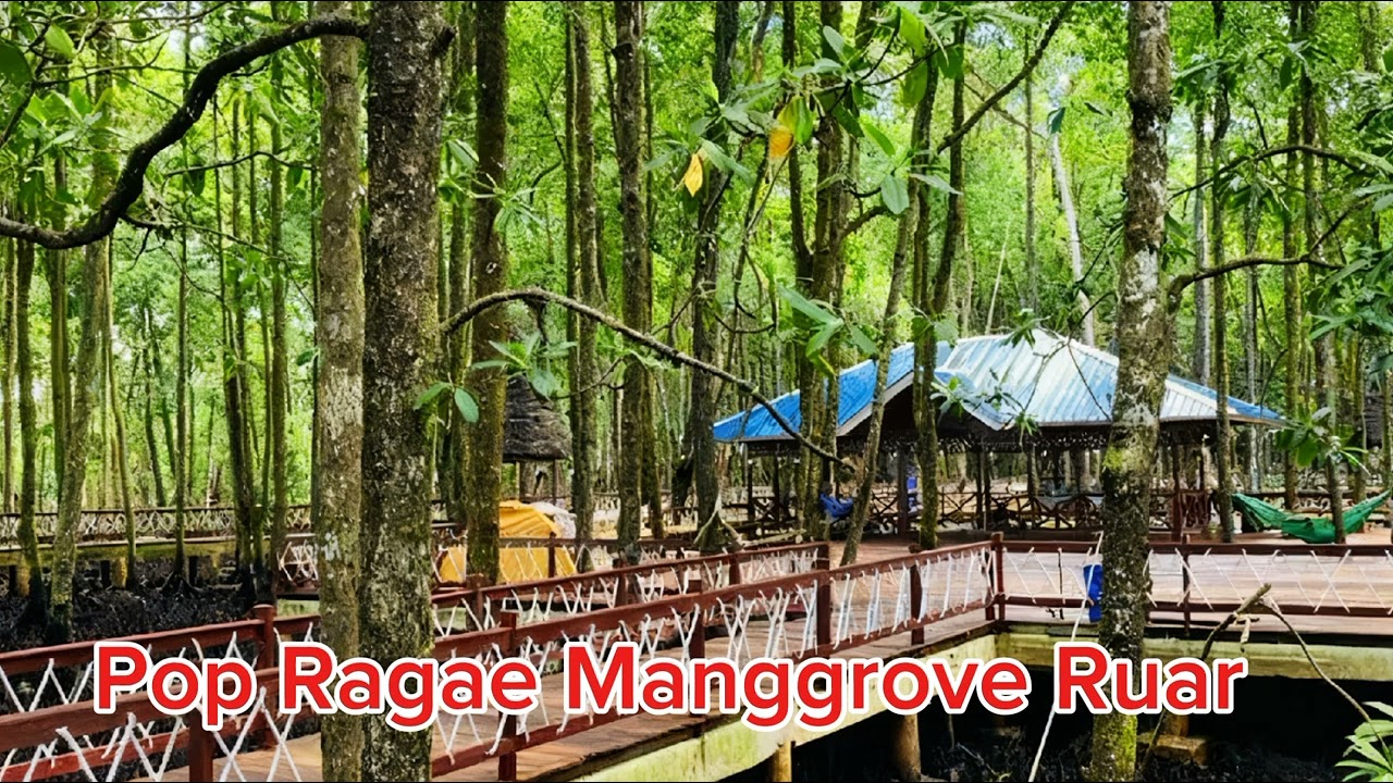 Manggrove Ruar Pop Raggae Rap Part2