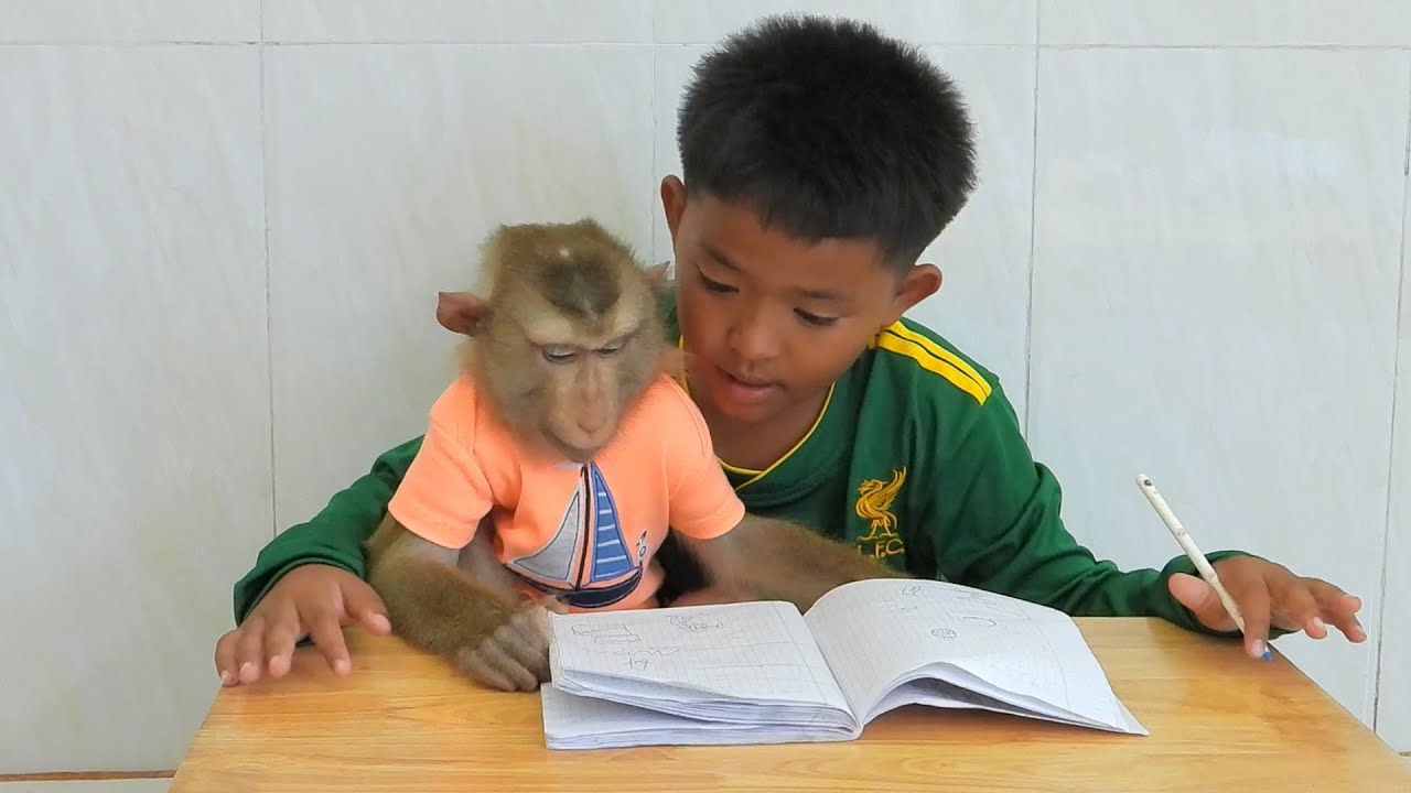 Funny Little Kako Sleep While Brother Teaching