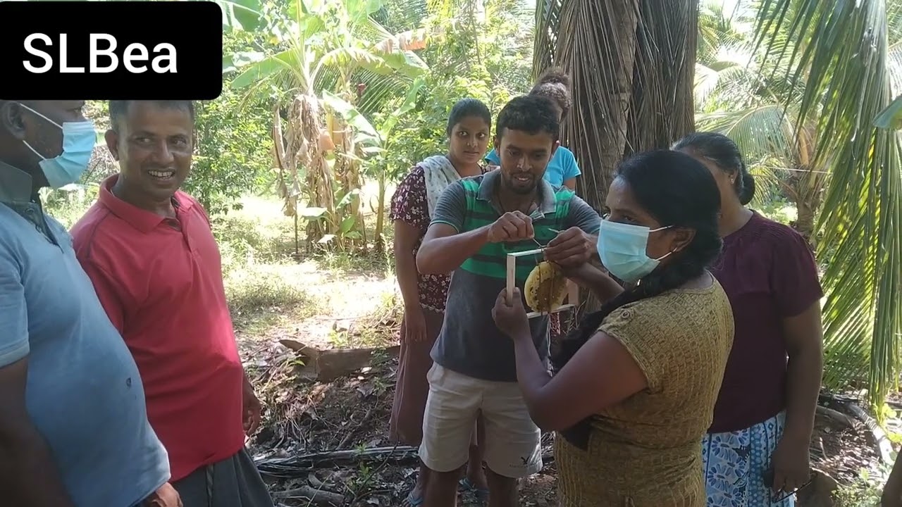 ජනපද පෙට්ටිගත කිරීමේ කුඩා කණ්ඩායම් පුහුණුව|janapada pettigatha kirime kandayam puhunuwa|@slbea74
