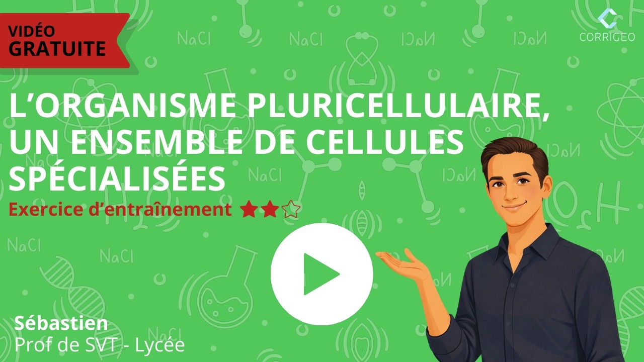 SVT 2de/Ex difficulté ⭐⭐ Ch1 : L’organisme pluricellulaire, un ensemble de cellules spécialisées