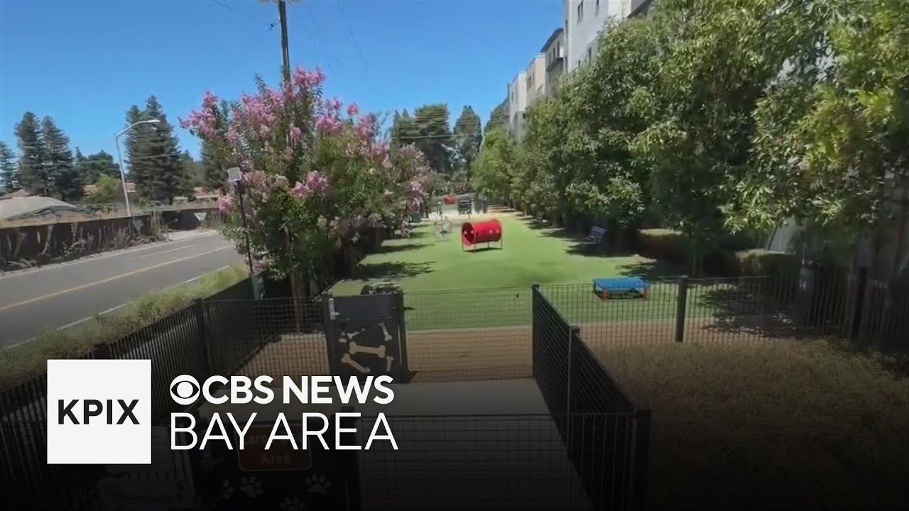 Santa Clara dog park closed after dog dies; multiple other dogs get sick