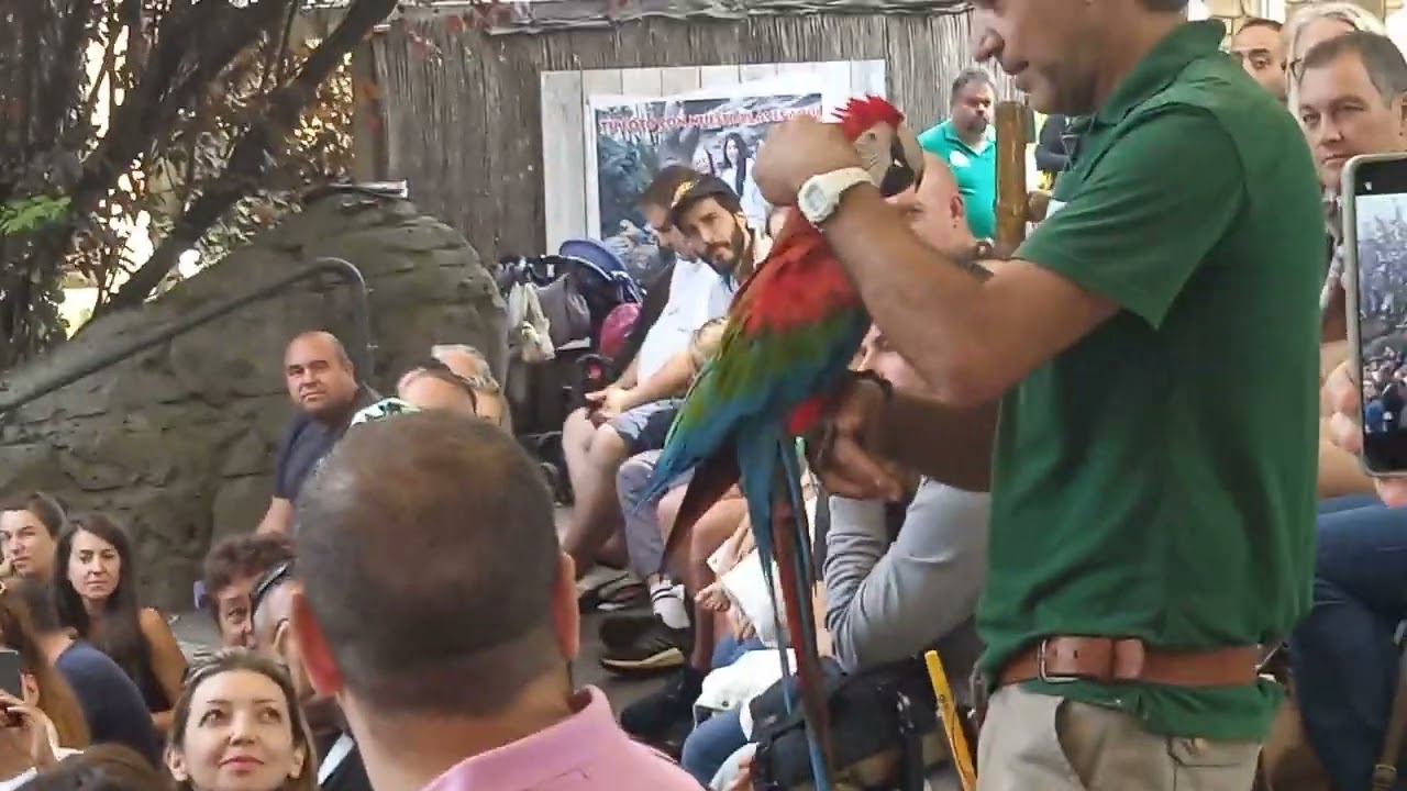 Aves Rapaces Faunia