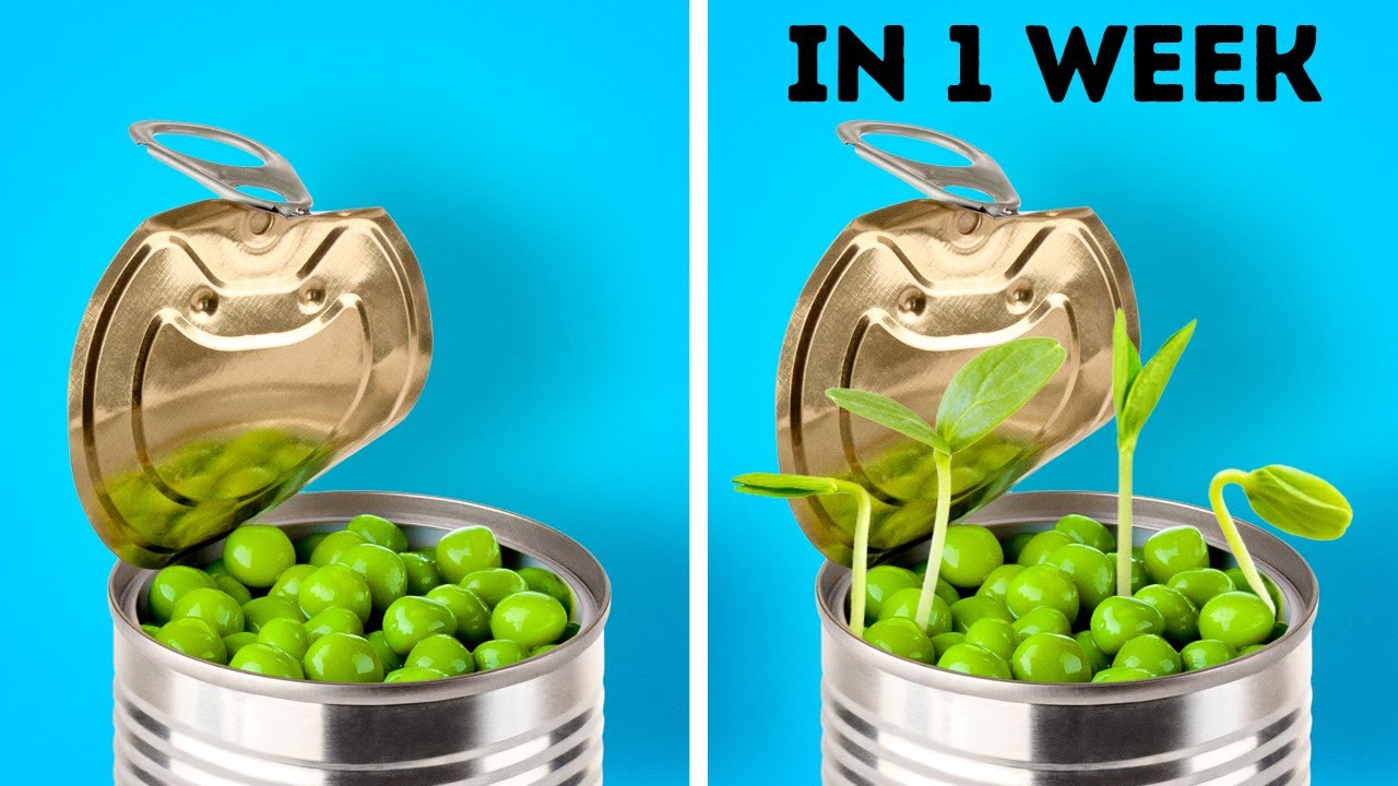 27 PLANT AND GARDEN HACKS || Easy Ways To Grow Seeds And DIY Backyard Upgrades
