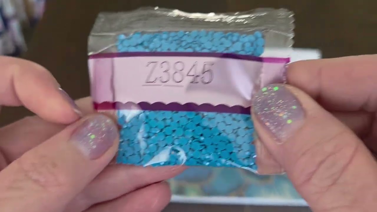 Stash Unboxing-2 OLLIE'S Finds-DAC Shimmering Succulents & Abstract Cat