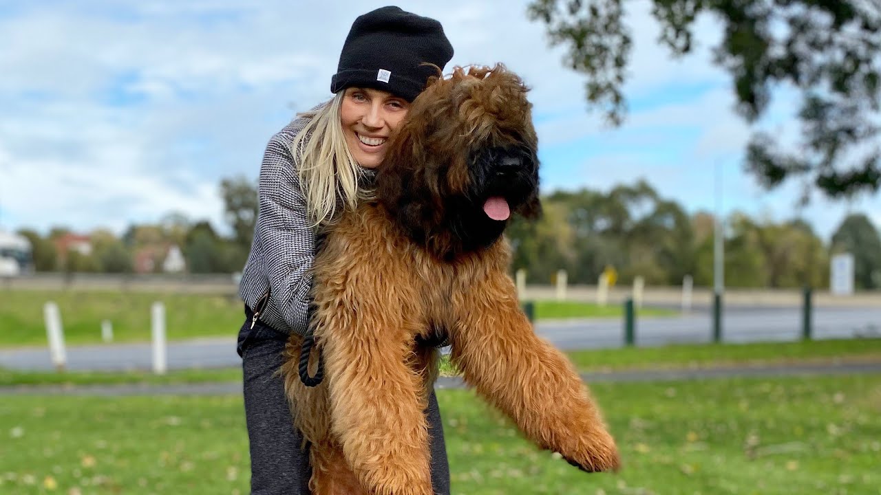 Dog Tricks with Frankie the Briard and owner Justyna