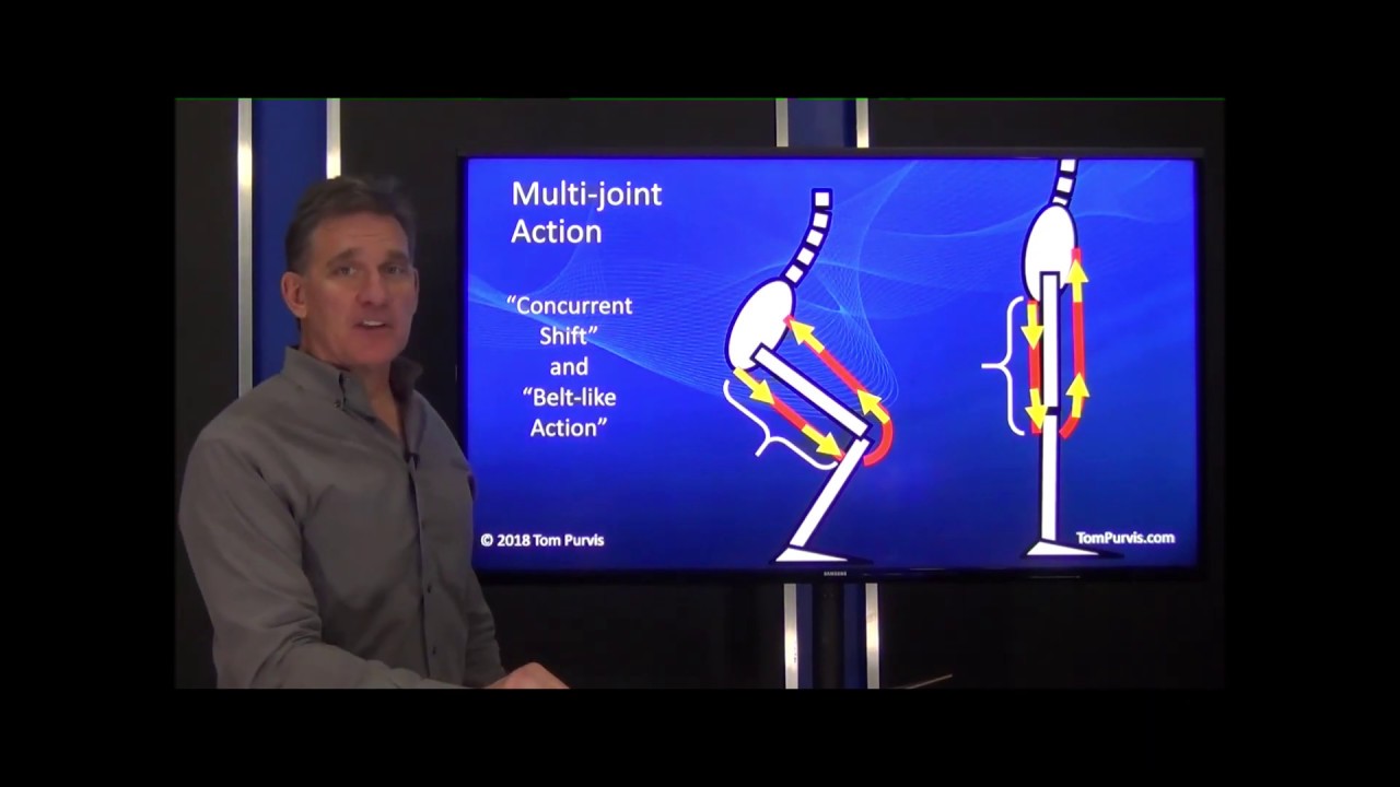 Clip from 3321 Muscle Mechanics 3 - Part 3 - MJM Transfer of Force (See below for full video)