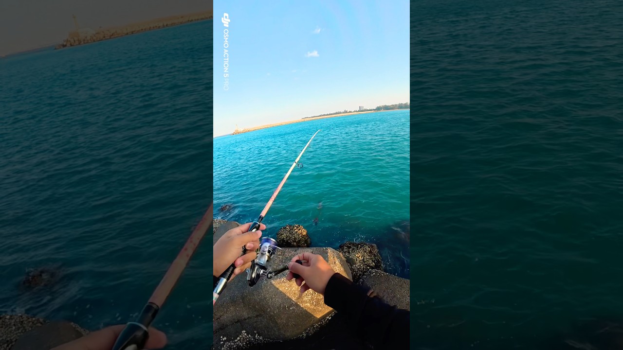 安平釣軟絲 台南路亞木蝦餌木釣