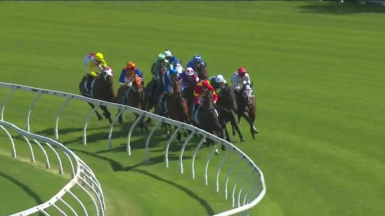 Guy Walter Stakes 2026 - VERONA ROSE (4YO+ SWP G2 M) Group 2 Randwick 28 February