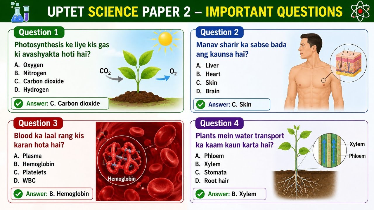 🔥 UPTET Science Paper 2 | 20 Most Important Questions with Explanation | #uptet #ctet2026 #mcq 