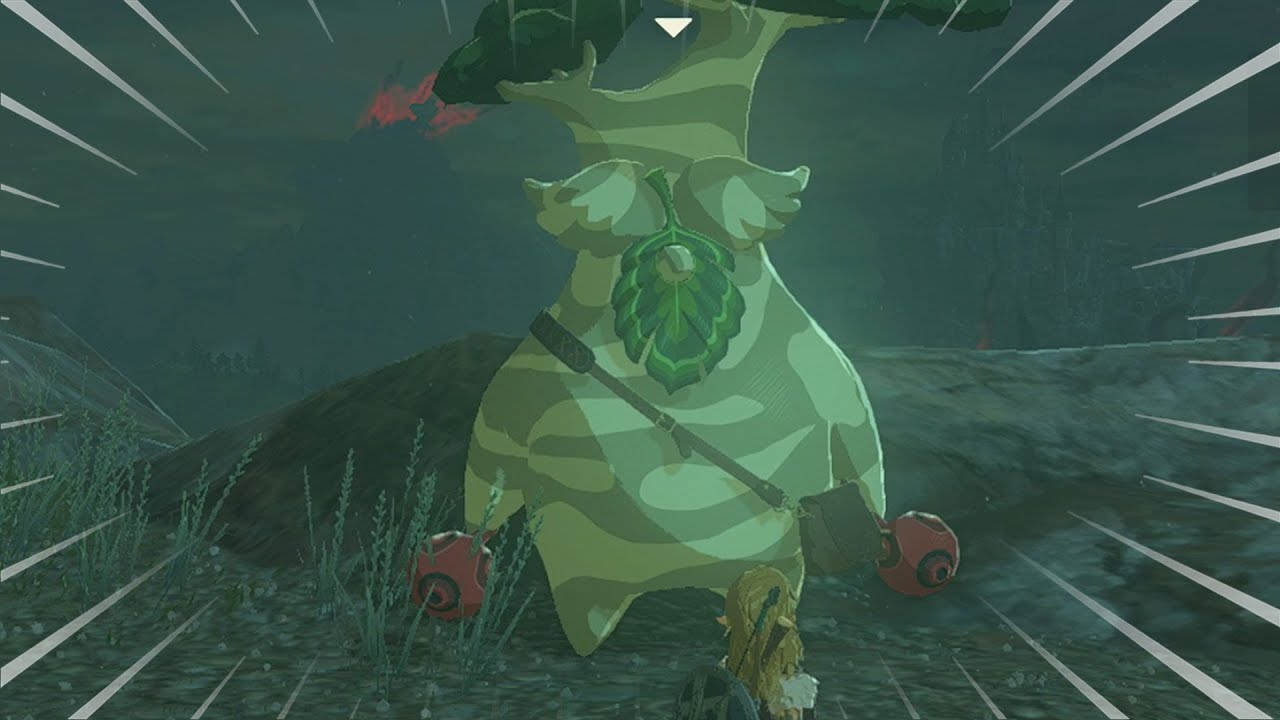 UBICACION DE OBAB EN ZELDA TEARS OF THE KINGDOM - COMO AMPLIAR EL INVENTARIO