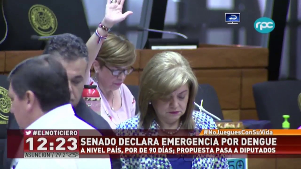 Senado declara emergencia por dengue - Desir&eacute;e Masi