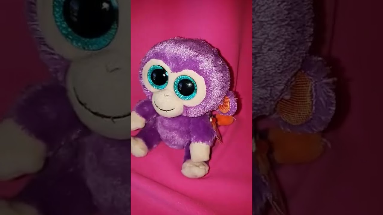 My Monkey Collection 🙊 #beanieboos #monkey #collection