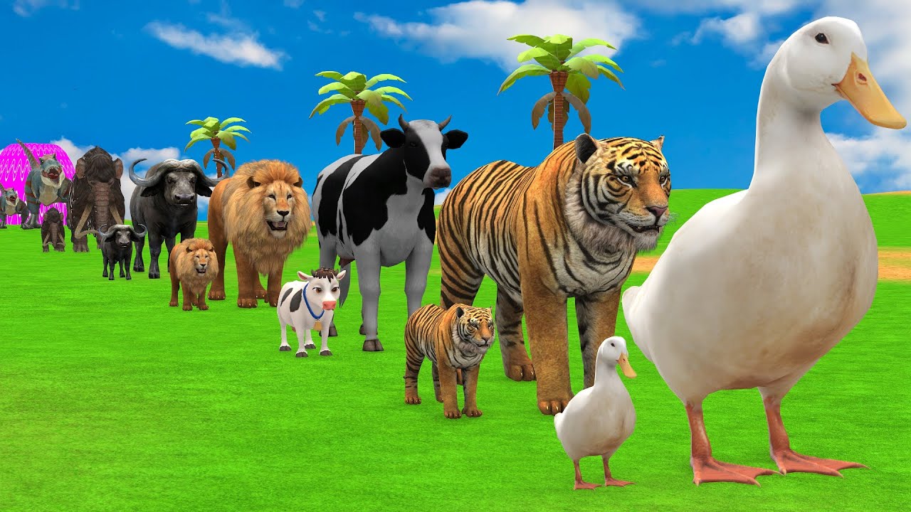 Long Slide Game with Cow Elephant Gorilla Hippopotamus Tiger 3d Animal Game Funny 3d Animals