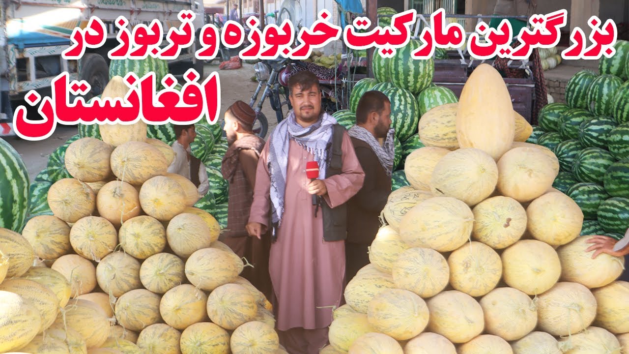 گزارش افغان تاپ، بزرگترین مارکیت خربوزه و تربوز در افغانستان،قیمت،حاصلات دهاقین،afghan top