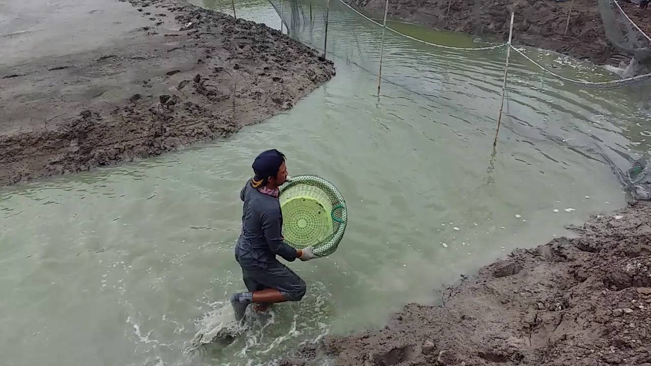 SIAMFISHING 6