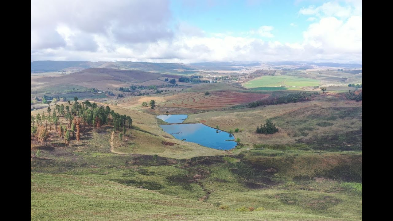 Forty Winks Rosetta KZN - Perfect Midlands Farm to visit