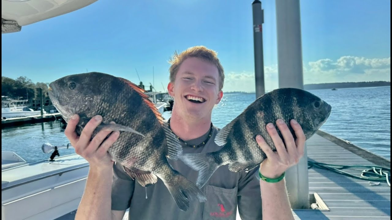 Bad Day To Be A Fish...