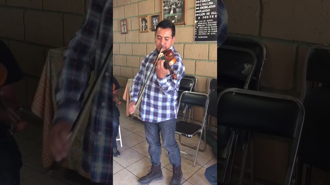 MARIACHI JUVENIL REAL DE MÉXICO - SABRÁS QUE TE QUIERO
