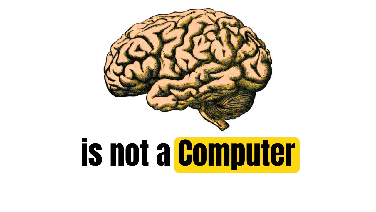 Your Words Are Physically Changing Your Brain Right Now!