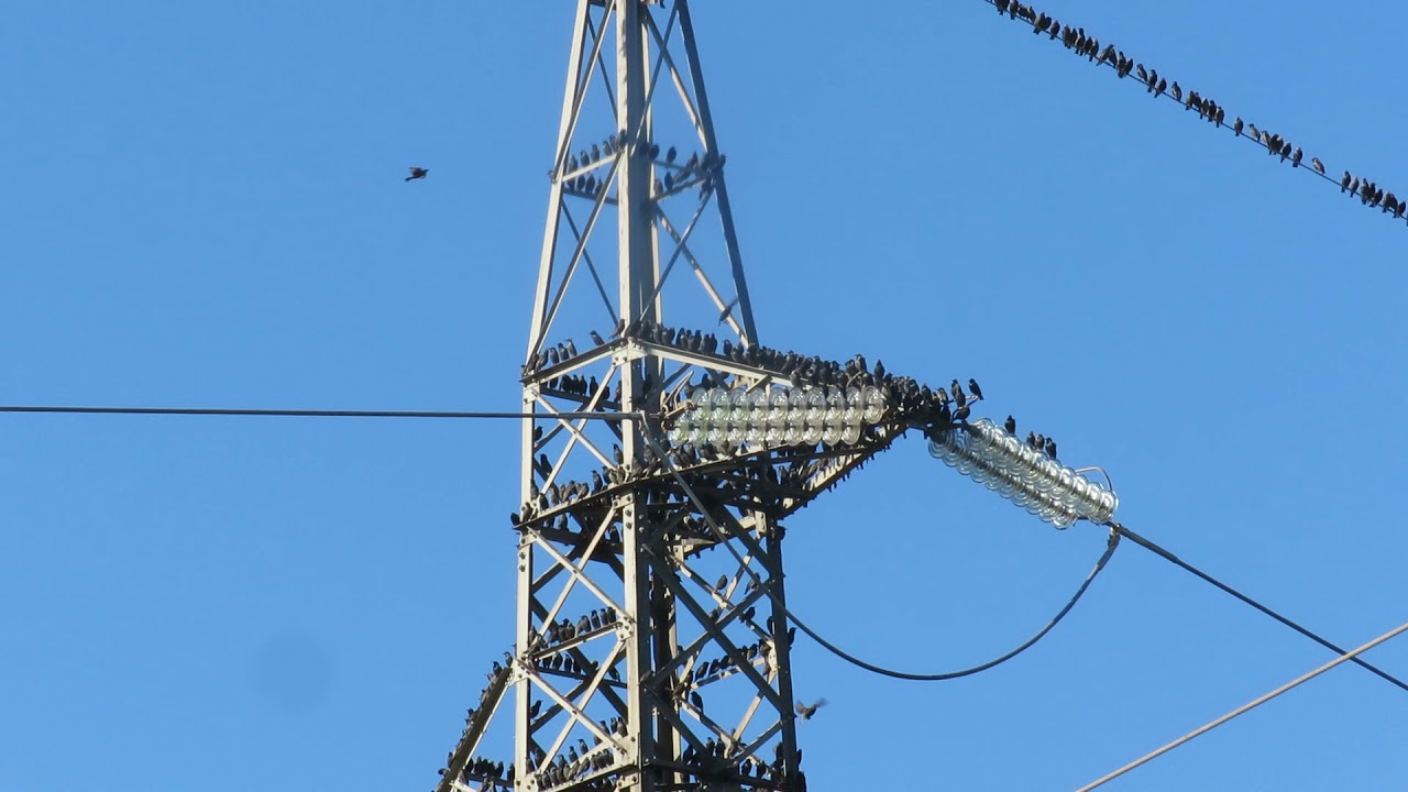 Storni su traliccio dell'alta tensione