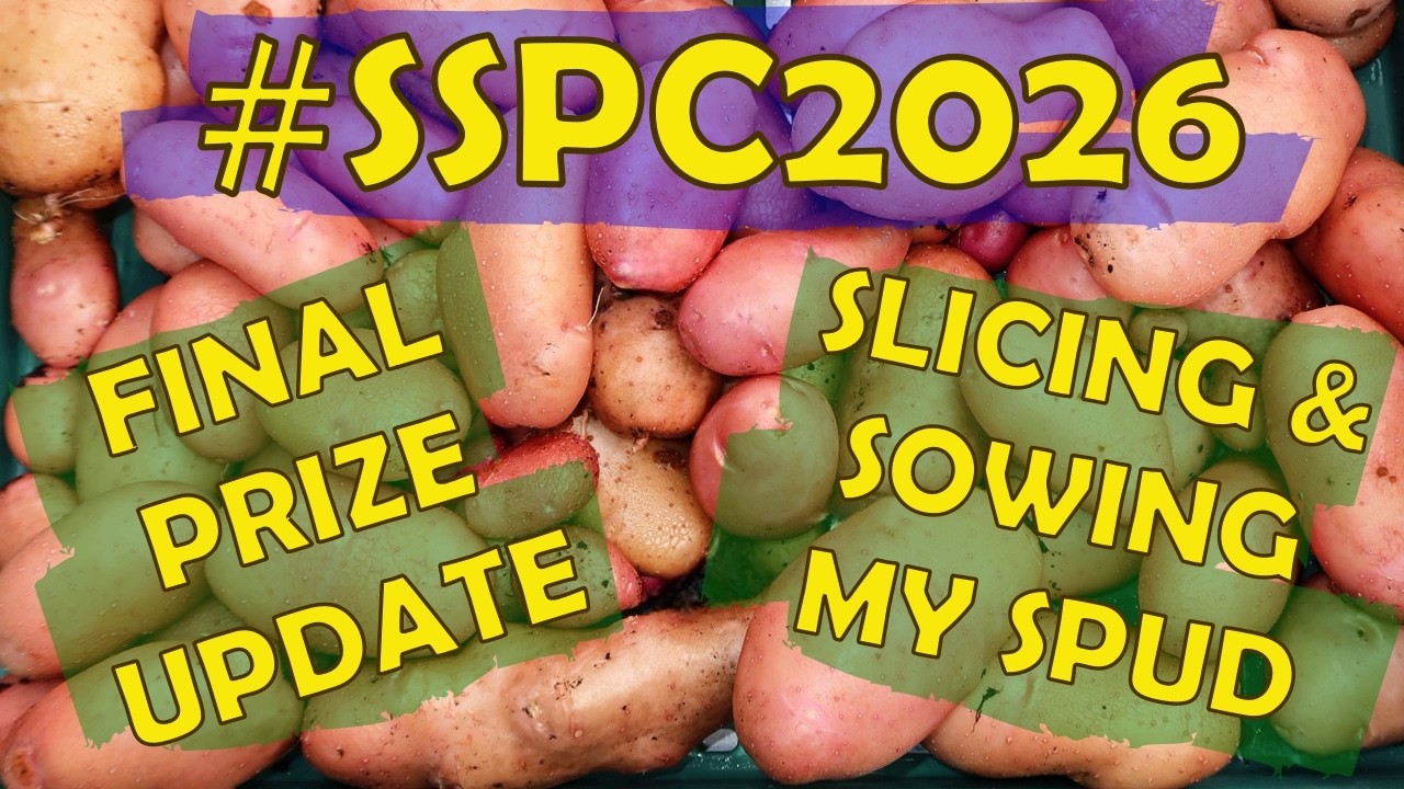 #SSPC2026 Обновление информации о призах + Нарезка и посадка картофеля