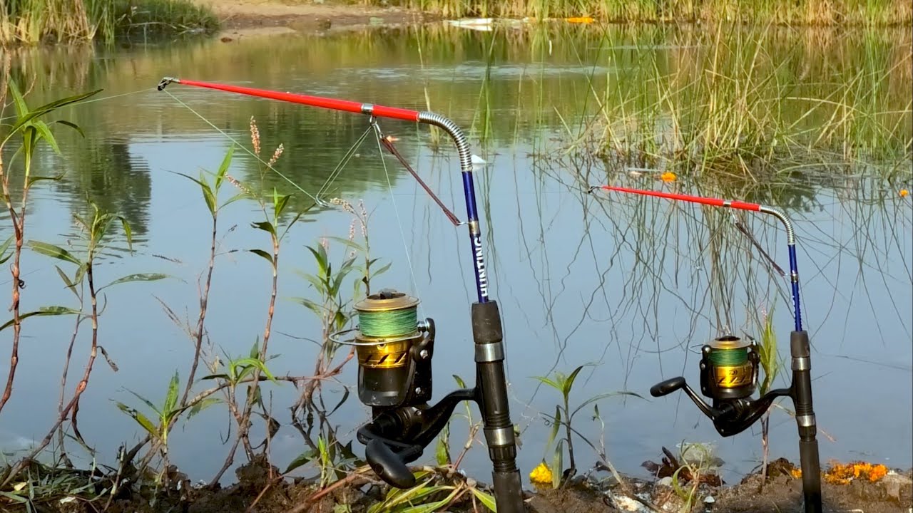 The Magic of Automatic Fishing Rods! 🎣✨