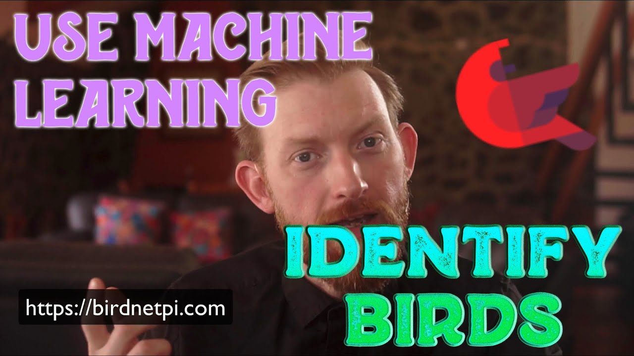 Use Machine Learning to Bird Watch! - BirdNET-Pi Overview
