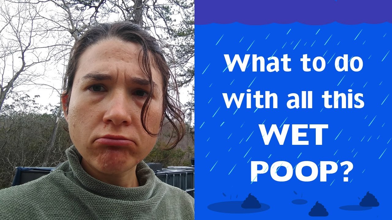 What to do With All This Wet Dog Poop? (...and How to Compost it)