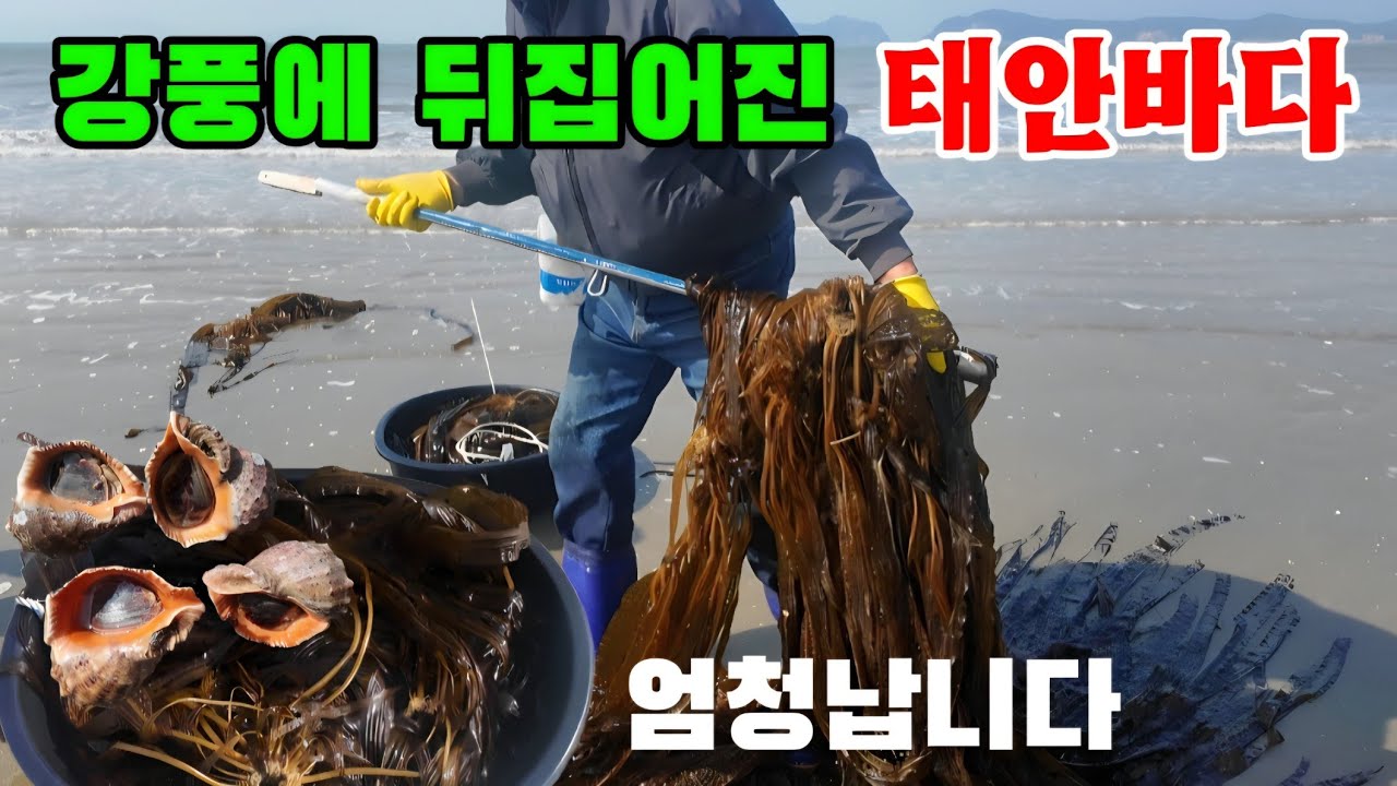 강풍 부는 날 많은 인파에 다라이 한가득 엄청납니다