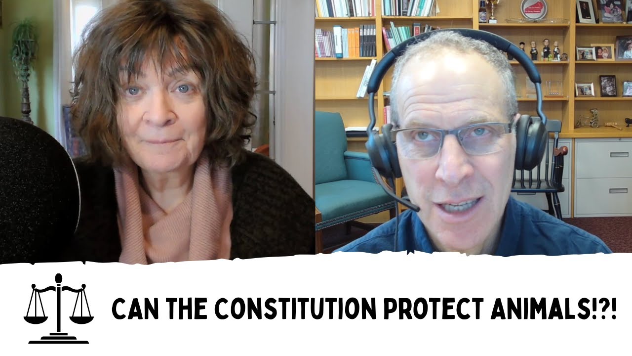 Animals and the Constitution with Michael Dorf