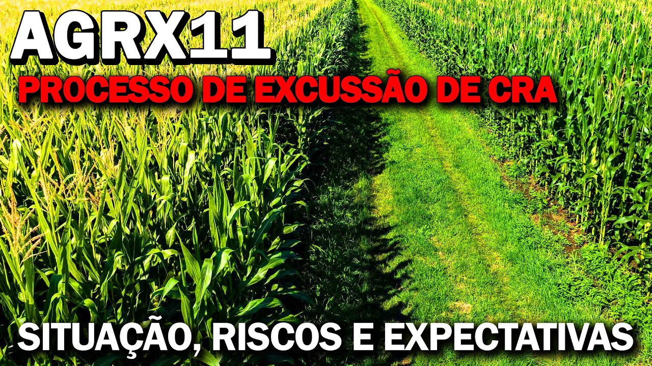 AGRX11, DISTRIBUI&Ccedil;&Atilde;O, MULTA, PROCESSO DE EXCUSS&Atilde;O