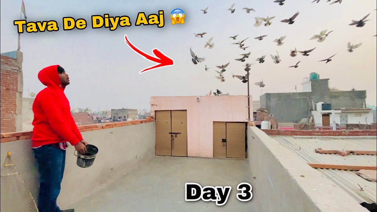 Kabootar Ko Tave Lagva Diye Aaj 😨