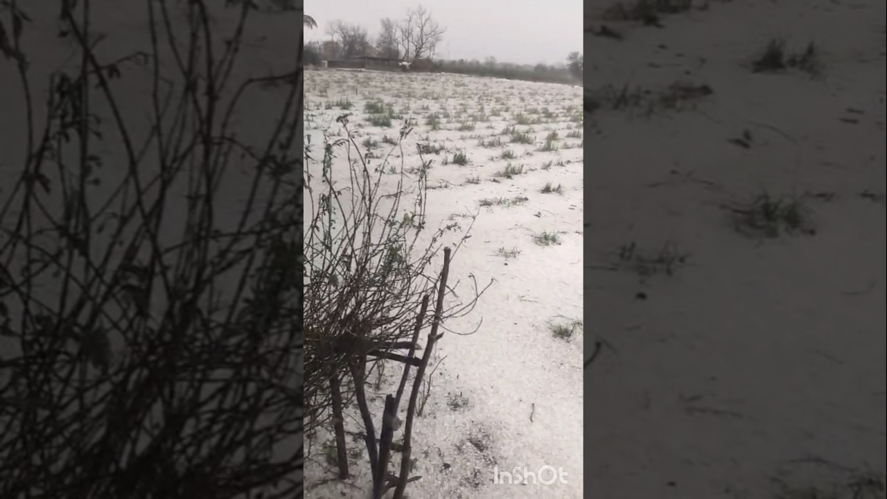 Wait&hellip; Hailstorm in March?! 😳 | Kalghatgi Turns Into Kashmir 🌨️❄️| Rare Weather